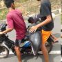 Viral! Lumba-lumba Terdampar, Bukan Diselamatkan Malah Dibawa ke Pasar