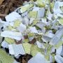 Heboh Penemuan Petasan Terbuat Dari Kertas Alquran, Warganet: Usut Tuntas!