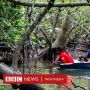 Orang Laut, Penduduk Asli Singapura yang Terlupakan