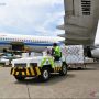 Sebanyak 9,5 Juta Dosis Vaksin Covid-19 Sudah Tiba di Indonesia