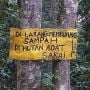 Upaya Sakai Jaga Rempah Tetap Berlimpah di Tengah Hutan Adat Makin 'Terjajah'