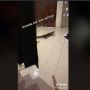 Bikin Jengkel, Biawak Numpang BAB di Tengah Rumah, Warganet: Wasabi Gratis!
