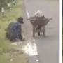 Viral Kakek Mengais-ngais di Rerumputan, Benda yang Dipungut Bikin Warganet Tertampar