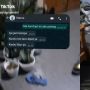 Tak Bisa Masuk Rumah, Pria Disuruh Cari Kunci di Puluhan Pot Bunga Bak Berburu Harta Karun
