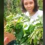 VIRAL Petani Wanita Panen Bayam 3 Ikat, Dijual ke Pasar Keuntungannya Bikin Kaget