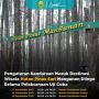 Aturan Ganjil Genap Berlaku di Hutan Pinus Mangunan, Berpotensi Kurangi Jumlah Wisatawan