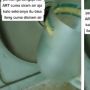 Bikin Jera ART yang Suka Cuci Piring Tanpa Disabun, Majikan sampai Lakukan Hal Ini