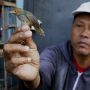 PSI Bujuk Pramono Tak Relokasi Pedagang Pasar Barito, Ini Alasannya