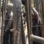 Viral Video Kuli Bangunan Jadi Tumbal Proyek, Awalnya Menakutnya, Tapi Ini Penjelasannya