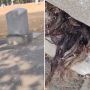Bikin Merinding, Penampakan Rambut Keluar dari Kuburan Tua