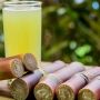 Air Tebu Punya Segudang Manfaat karena Kandungan Nutrisinya, Apa Saja?