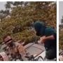 Viral Aksi Arogan Oknum Satpol PP saat Tertibkan Ibu-Ibu PKL, Publik: Naik Darahku