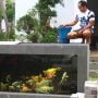 Unik, Pagar Rumah Berbentuk Kolam Ikan Koi di Malang