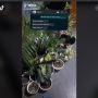 Kunci Rumah Ditaruh di Pot, Cowok Ini Kebingungan Karena Ada Puluhan Tanaman Hias