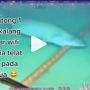 Beredar Video Kabel Telkomsel dan Indihome Digigit Hiu di Dasar Laut, Cek Fakta Sebenarnya