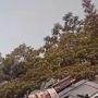 Viral, Satpol PP Sakiti Pedagang, Sampai Dicekek, Netizen Naik Darah