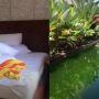 Viral Kolam Renang Jadi Kolam Lele di Vila Setelah Disewa 1 Bulan, Lihat Sendiri Fotonya