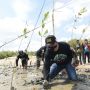 Semen Gresik Gelar Edukasi Kebencanaan dan Penanaman 2.250 Bibit Mangrove