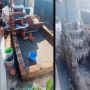 Diragukan Istri Tak Bisa Bangun Kolam Ikan, Hasil Akhir Kemampuan Sang Suami Menggemparkan