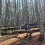 Wisatawan Bisa Masuk ke Tempat Wisata jika Terkendala Sinyal, Apa Syaratnya?