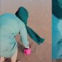 Viral Wanita Berjilbab Rutin Tabur Bunga di Laut untuk Teman Malam Jumat, Siapa?