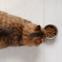 Viral Pemulung Cilik Baik Hati Beri Makan Kucing, Warganet: Ya Allah, Malam-Malam Menangis