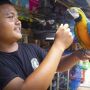 Berburu Hewan Peliharaan di Pasar Barito