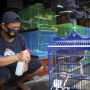 Tak Mau Pindah, Pedagang Pasar Burung Barito Disanksi SP1 Pemkot Jaksel