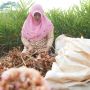 Bertani Itu Hebat, Menjadi Petani Itu Keren