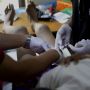 Kapan Sebaiknya Sunat Anak Lelaki Dilakukan? Begini Kata Dokter