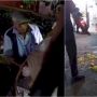Tega, Bapak Penjual Mie Goreng Ditabrak Lari, Daganganya Berserakan di Jalan