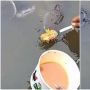 Viral Aksi Wanita Nyuapin Jajanan Seblak ke Ikan Lele, Respons Ikannya Tak Terduga