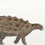 Spesies Dinosaurus Aneh Ditemukan, Punya Tubuh Seperti Baju Besi