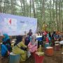 Nikmati Jantung dunia di Hutan Albazia Kubu Raya