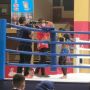 Atlet Muaythai Sulawesi Selatan Nadya Indah Royani Tembus Final PON Papua