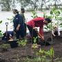 Tanam Mangrove di Bengkalis, Presiden Jokowi Pilih Nyeker
