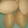 10 Makanan Khas Karawang: Kawista Madu, Gandasturi, Hingga Bolu Kijing