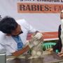 Empat Warga Agam Positif Terpapar Rabies, Gigitan Anjing Mendominasi