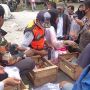 Bantu Peternak, Warga Tasikmalaya Borong 3 Ton Telur Ayam untuk Dibagikan ke Warga
