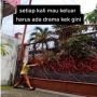 Viral Video Cewek Kesulitan Buka Pagar Kosan, Warganet Sampai Ikut Ngeden