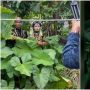 Viral Foto Pre-wedding Bertema Alam di Tengah Kebon, Hasilnya Bikin Takjub Warganet