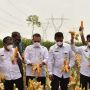 Memperingati Hari Tani Nasional, Kementan Panen Jagung Nusantara