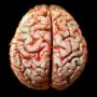 Terpopuler Kesehatan: Sakit Kepala Malam Hari Gejala Kanker Otak, Tanggapan Ketua IDI Soal Vaksin Covid-19 Rutin