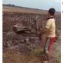 Traktor Petani Ini Rubuh Berputar-putar di Tengah Sawah, Warganet: Traktornya Sudah Lelah