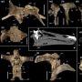 Berusia 125 Juta Tahun, Ilmuwan Temukan 2 Spesies Dinosaurus Baru