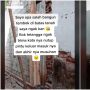 Bangun Tembok di Tanah Milik Sendiri, Pria ini Dimusuhi Para Tetangga: Salah Apa?