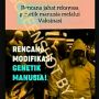 CEK FAKTA: WHO Berencana Jahat Modifikasi Genetik Manusia Lewat Vaksinasi, Benarkah?