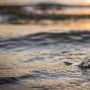 Viral Botol Misterius Terdampar di Pantai, Setelah Dibuka Ada Pesan yang Tak Sampai