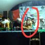 Viral Ustadz Encep Jaenal Mutaqim, Sholat Telanjang Dada, Isu Dilantik Jadi Wali Allah