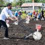 Presiden Jokowi Tanam Jagung di Papua Barat